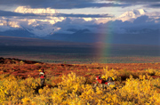 Herbst in der Alaska Range