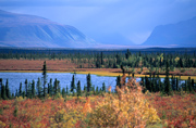 Herbst in der Alaska-Range