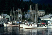 Fischerboote in Sitka