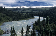 Unber�hrte Wildnis im Yukon Territory