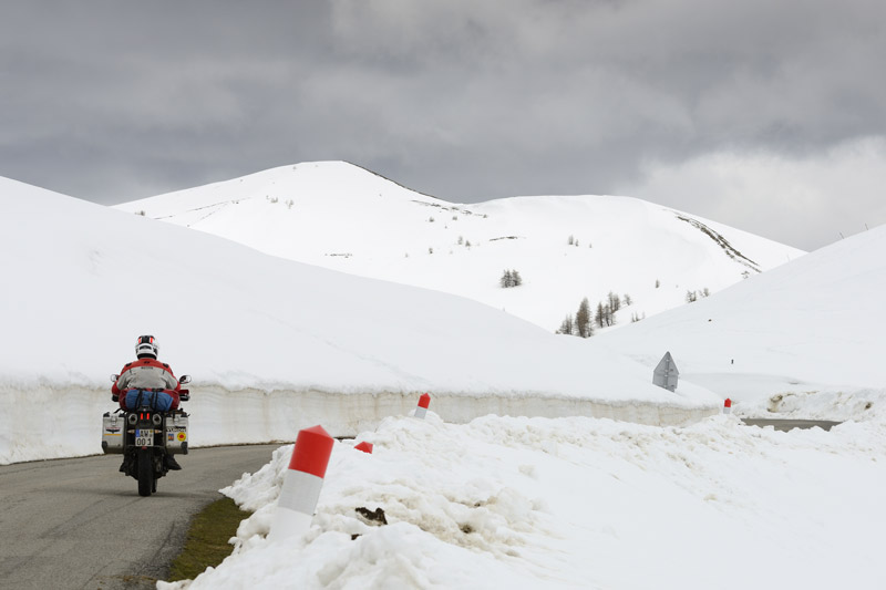 Fr�hling am Col d'Allos