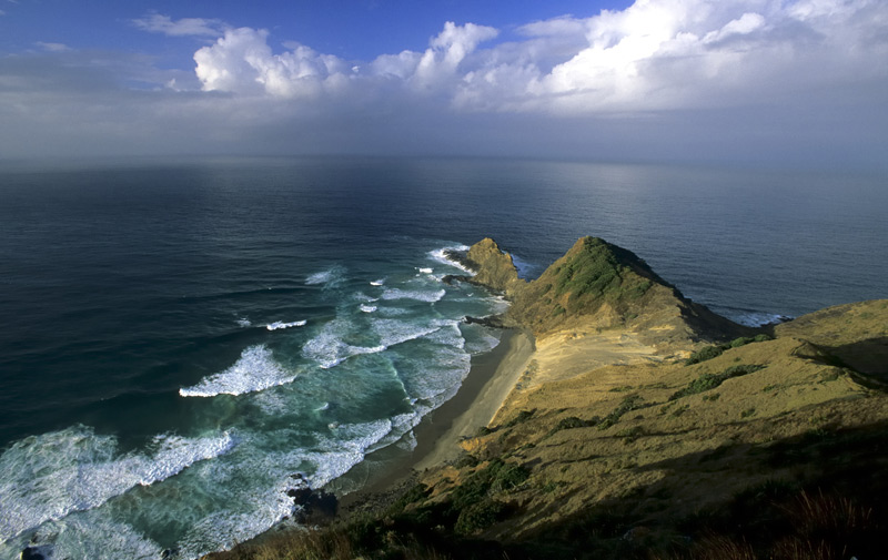 Blick auf den n�rdlichsten Punkt Neuseelands, Cape Reinga  