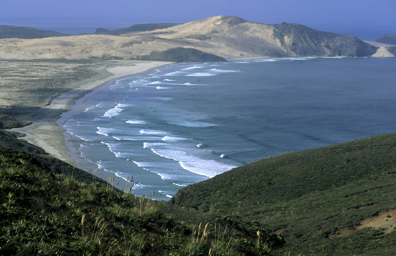 Blick auf den Te Werahi Beach am Cape Reinga  