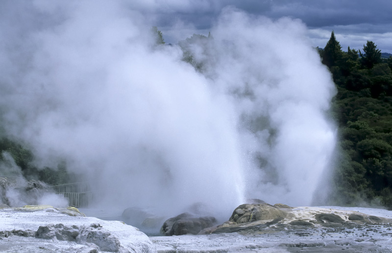 Geysir in Rotorua  