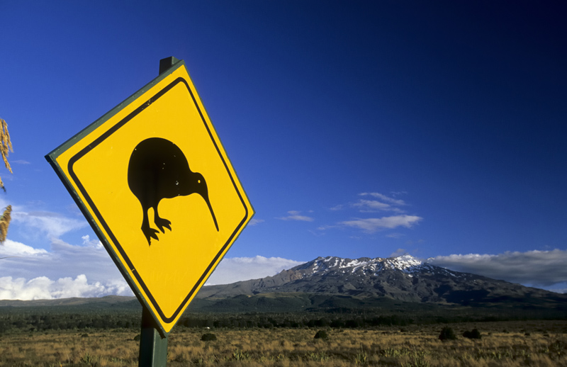 Vorsicht: Kiwis  