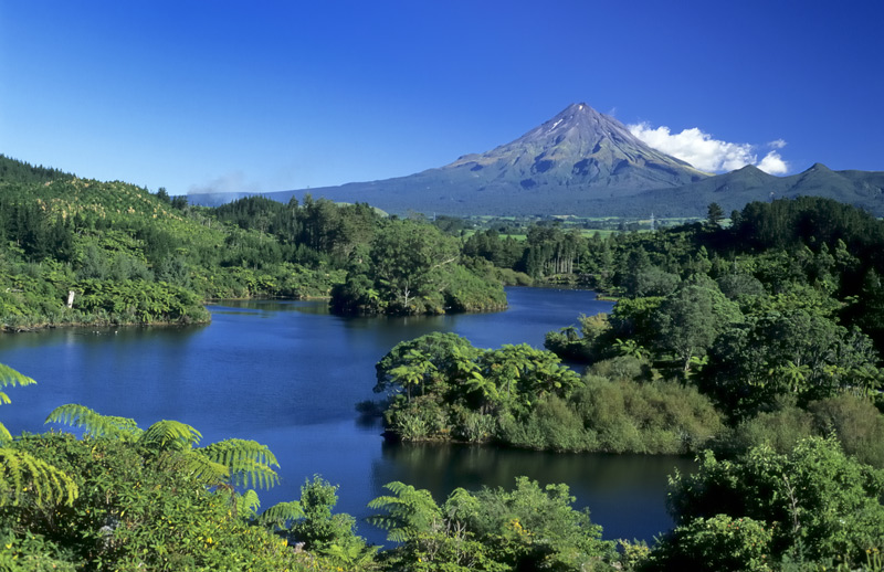 �ppige Vegetation zu F��en des Mount Taranaki  