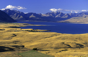  Lake Tekapo, S�dalpen 