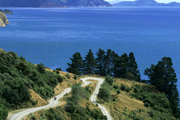  Spannende Piste in den Marlborough Sounds 