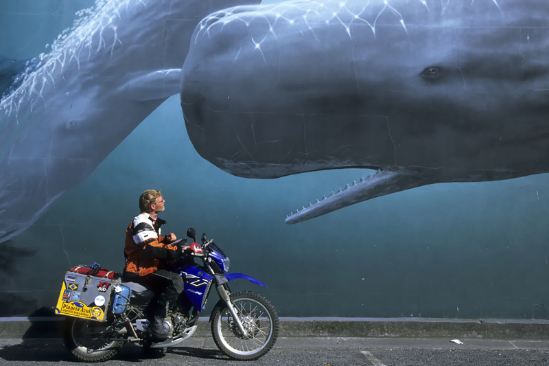 Wandgem�lde in Kaikoura  
