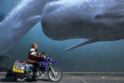  Wandgem�lde in Kaikoura 