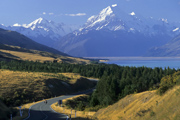 Im Hintergrund der h�chste Berg Neuseelands, der Mount Cook, 3754 Meter 