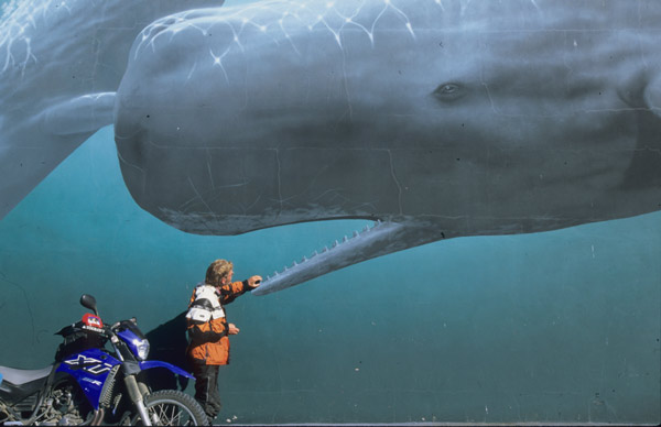 Neuseeland, Wandgem�lde