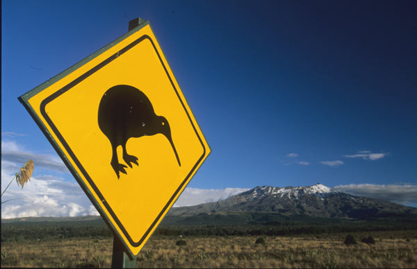 Neuseeland, Tongariro-NP