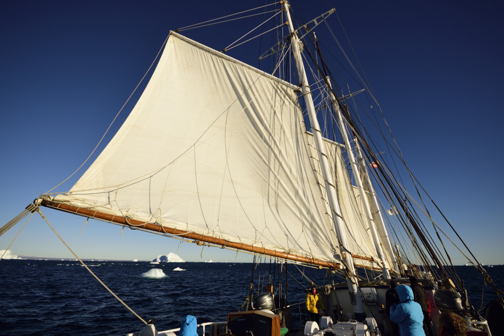 endlich mal wieder Wind zum Segeln
