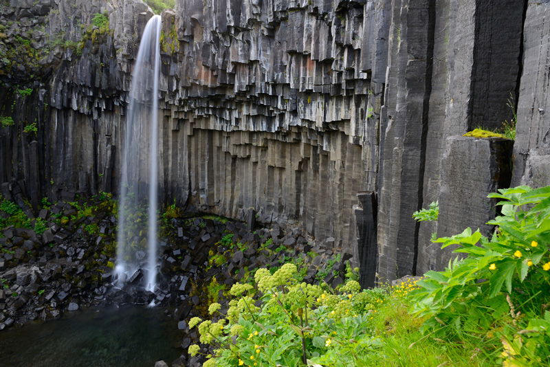 Island: Svartifoss