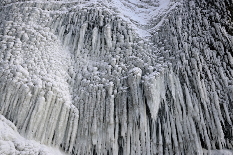 Eiswand am Sk�garfoss