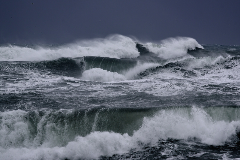 Sturm am Kap D�rh�laey