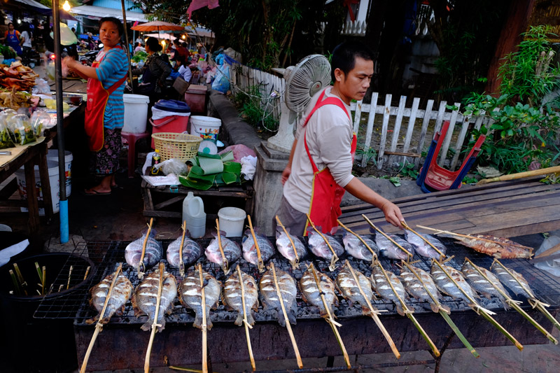 frischer Fisch vom Mekong 