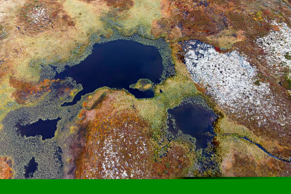 Anfang September f�rbt sich die Tundra herbstlich