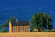 norwegische Idylle am Trondheimsfjord