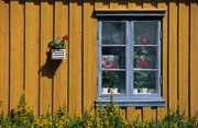 in R&oslash;ros