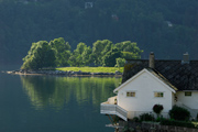 am Hardangerfjord
