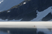 fr�h morgens auf dem Djupvatnet