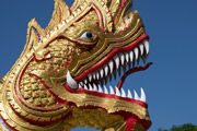 Goldener Drache an einem Tempel in Chiang Mai