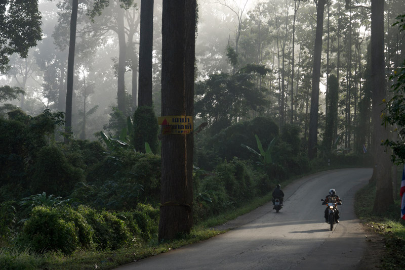 Im Urwald bei Chiang Dao