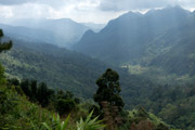 Alpine Landschaft an der burmesischen Grenze am Doi Ang Khang