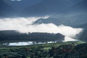 Morgennebel �ber dem Tal von Orosi