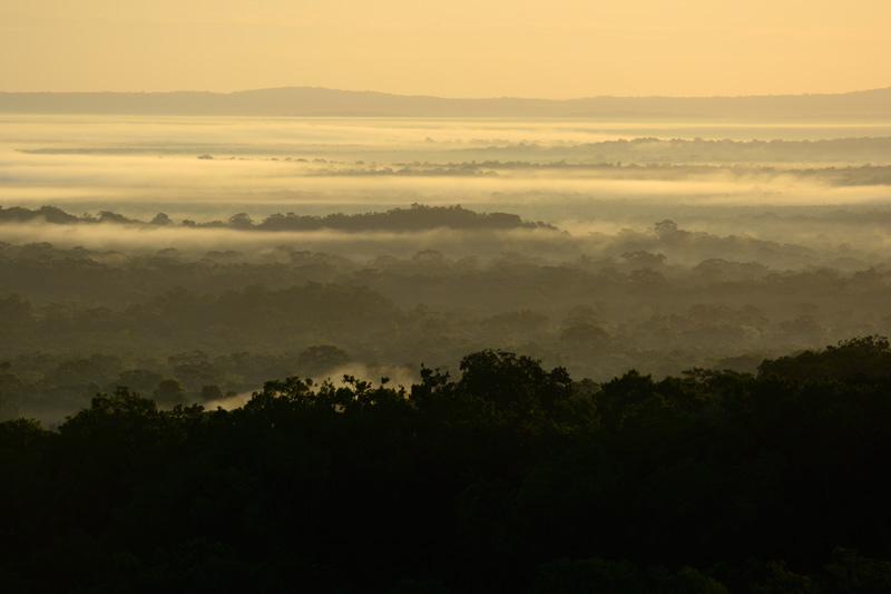 Guatemala: Sonnenaufgang �ber dem Urwald des Pet�n 