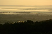  Guatemala: Sonnenaufgang �ber dem Urwald des Pet�n 