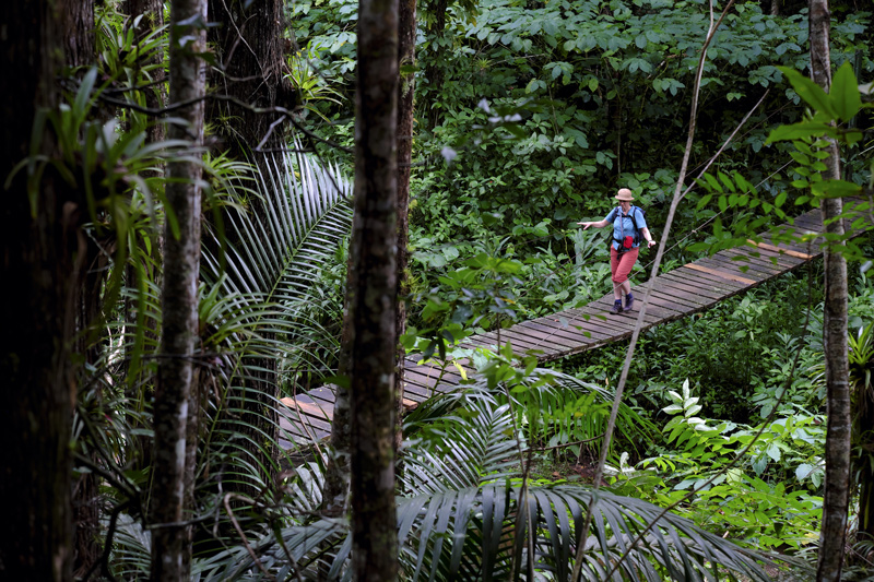 Im Regenwald von Topes de Collantes