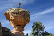 Felsen in der Sierra de Organos bei Durango